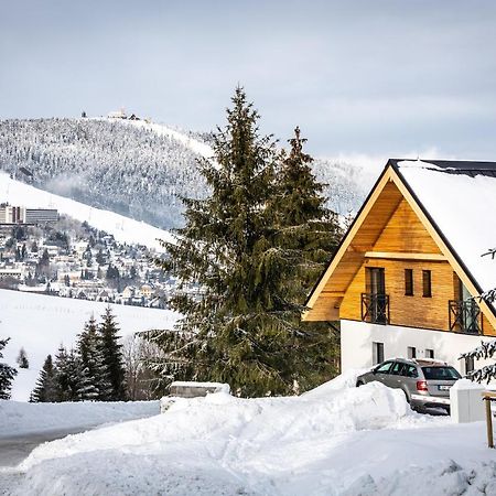 Ski Chalet Klinovec Loučná pod Klínovcem Eksteriør bilde