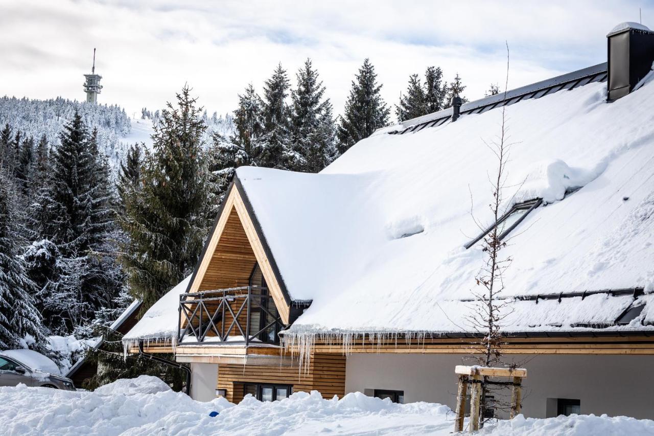 Ski Chalet Klinovec Loučná pod Klínovcem Eksteriør bilde