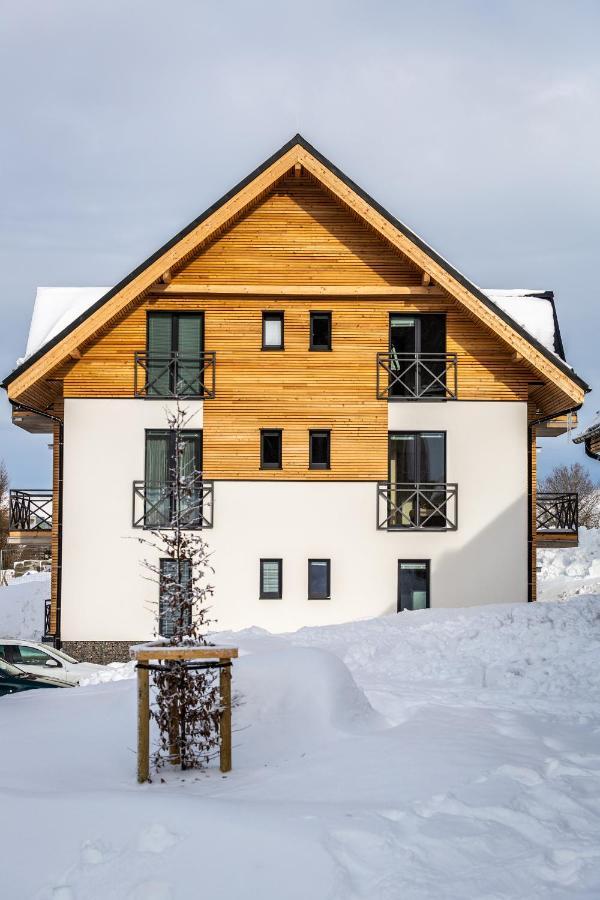 Ski Chalet Klinovec Loučná pod Klínovcem Eksteriør bilde