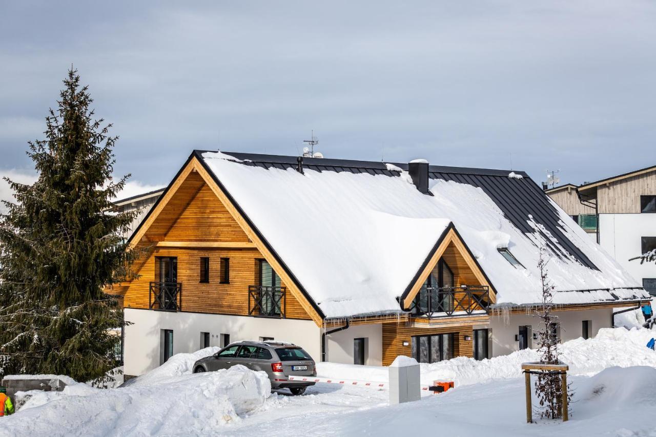 Ski Chalet Klinovec Loučná pod Klínovcem Eksteriør bilde