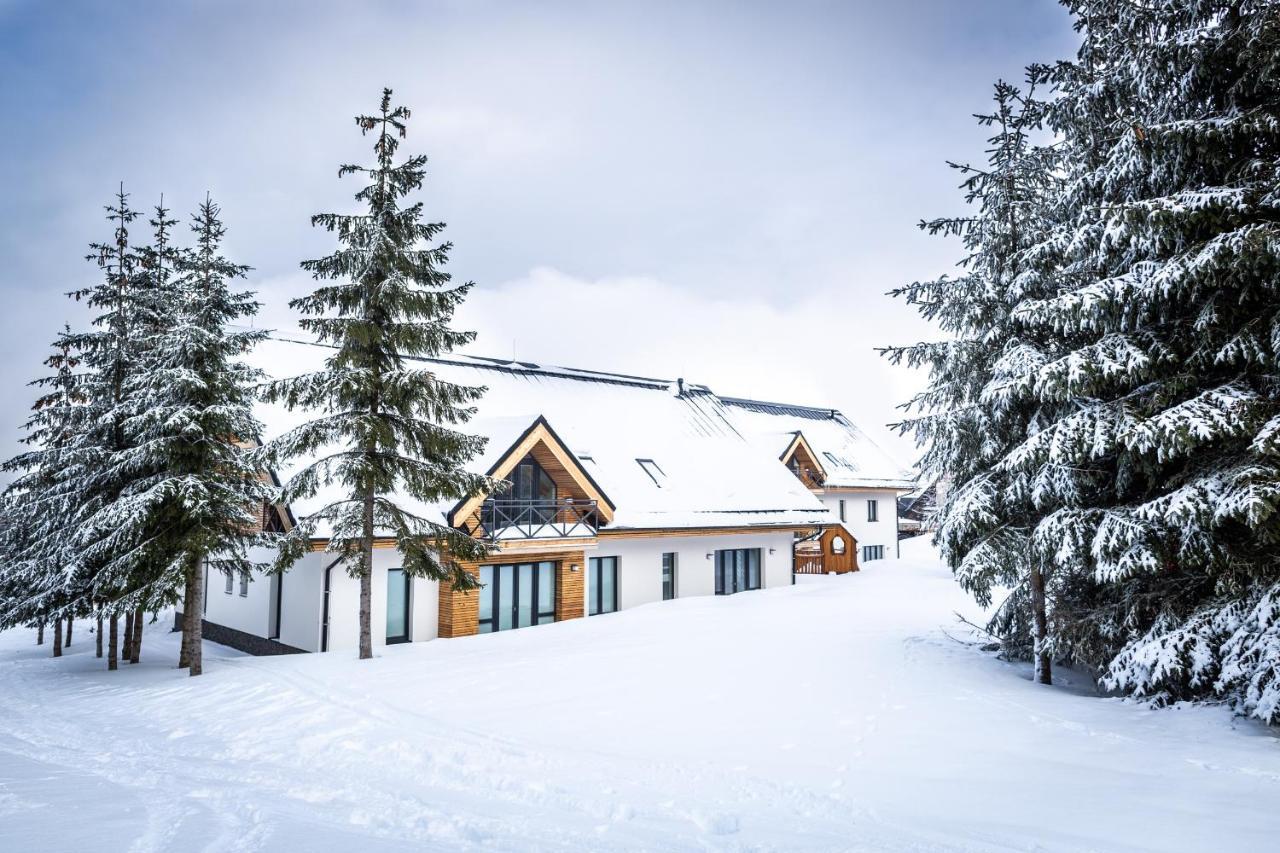 Ski Chalet Klinovec Loučná pod Klínovcem Eksteriør bilde