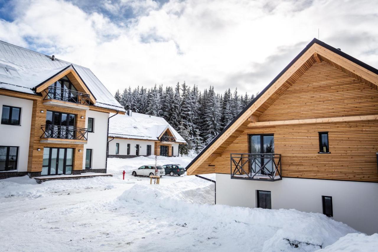 Ski Chalet Klinovec Loučná pod Klínovcem Eksteriør bilde