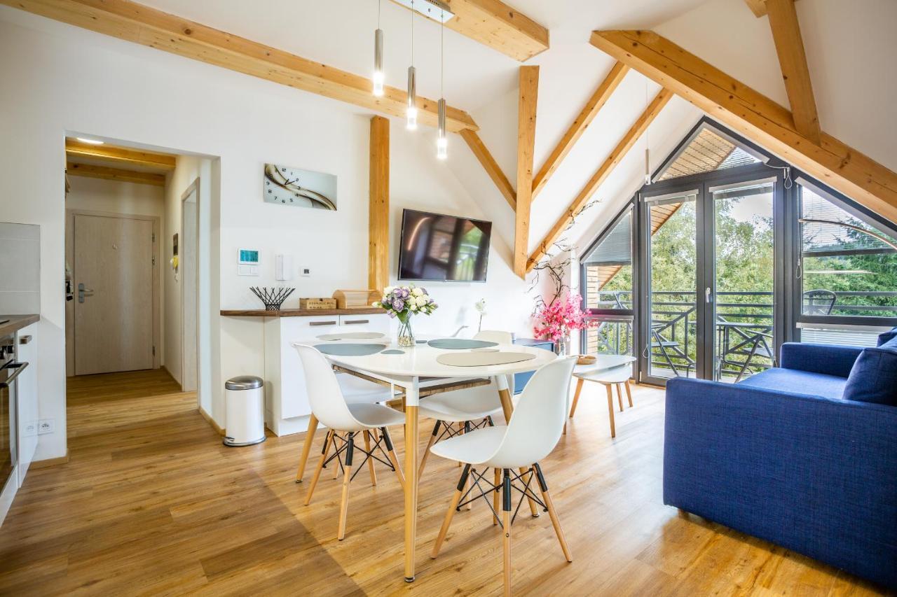 Ski Chalet Klinovec Loučná pod Klínovcem Eksteriør bilde