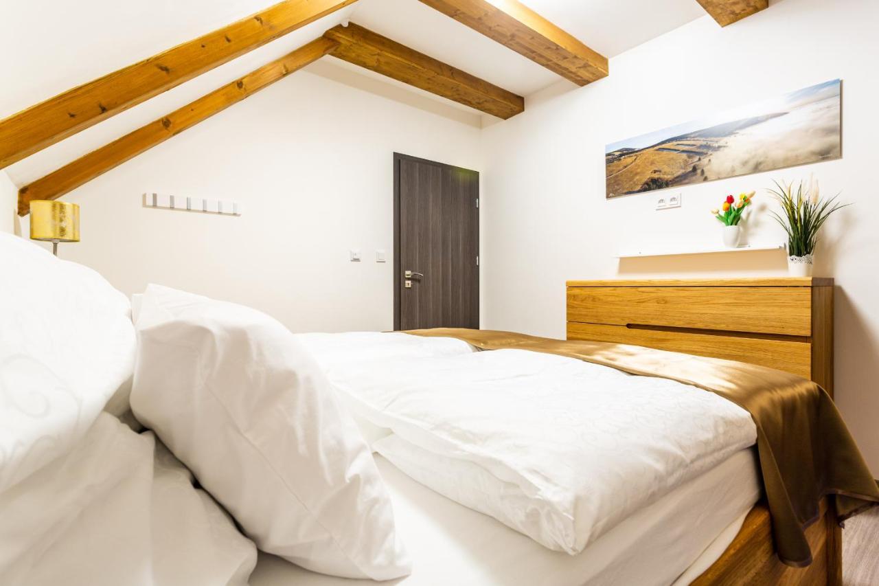 Ski Chalet Klinovec Loučná pod Klínovcem Eksteriør bilde